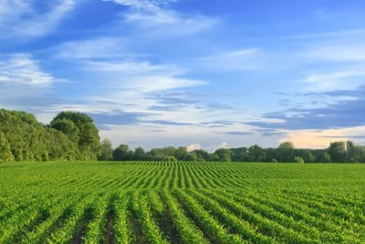 Updated Open Space Plan