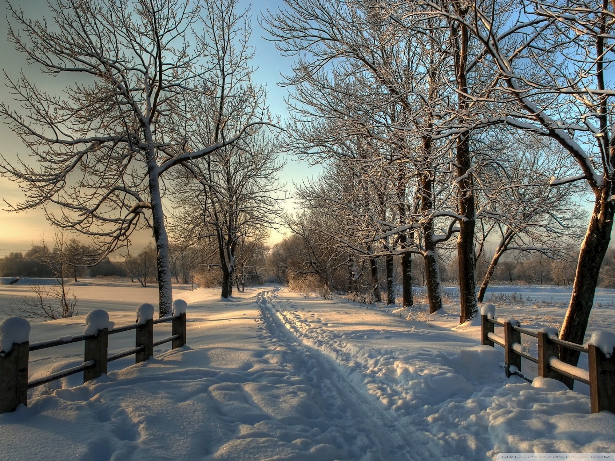 Administrative Office Update